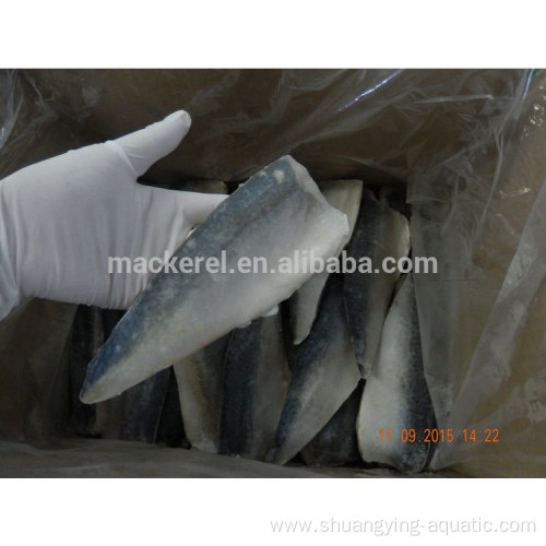 IQF Hot Sale Quality Whole Block Mackerel Fillet